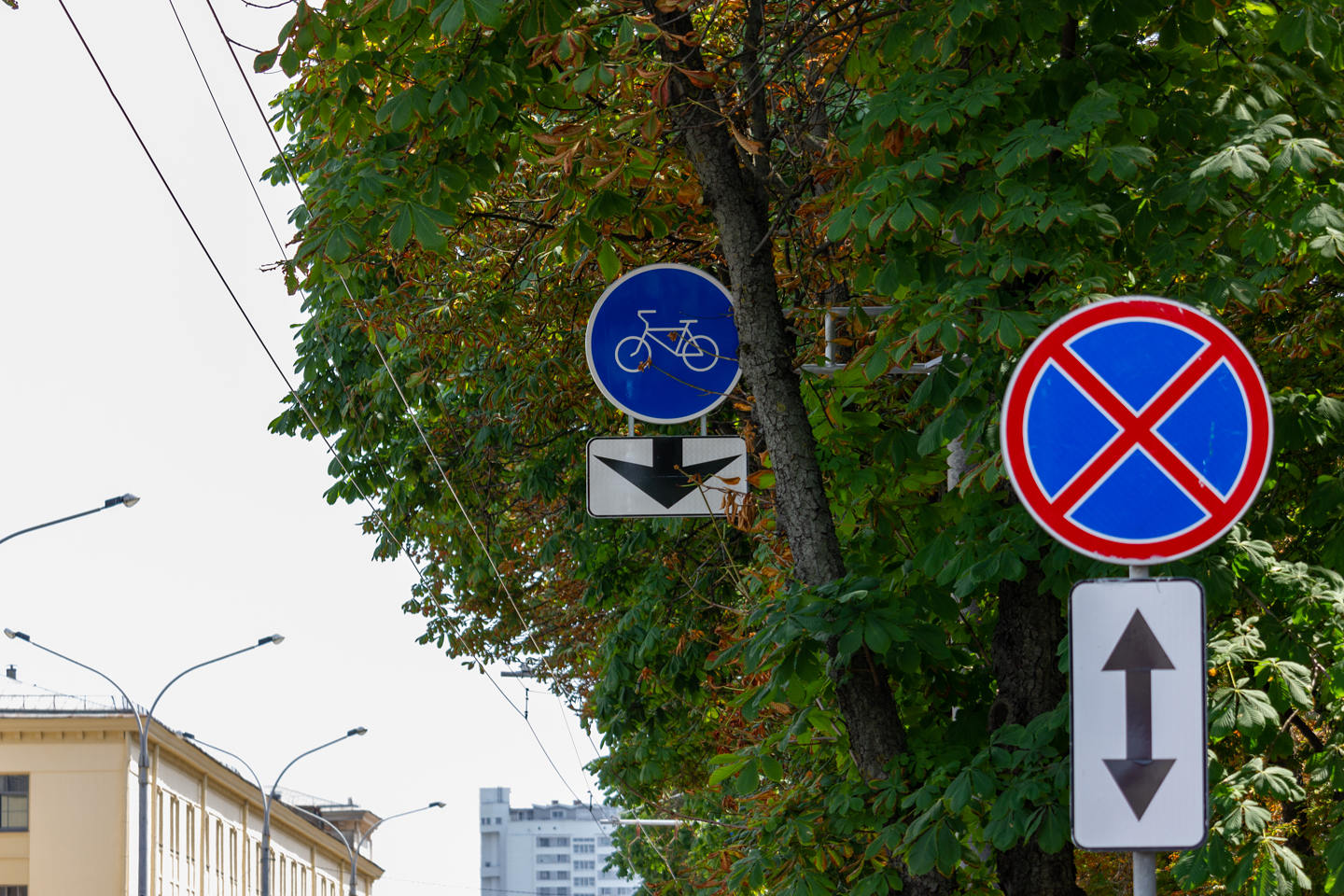 В Минске появилась велодорожка на улице Веры Хоружей