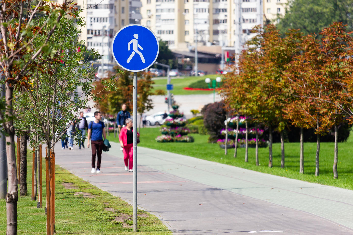 ПДД для пешеходов Беларуси