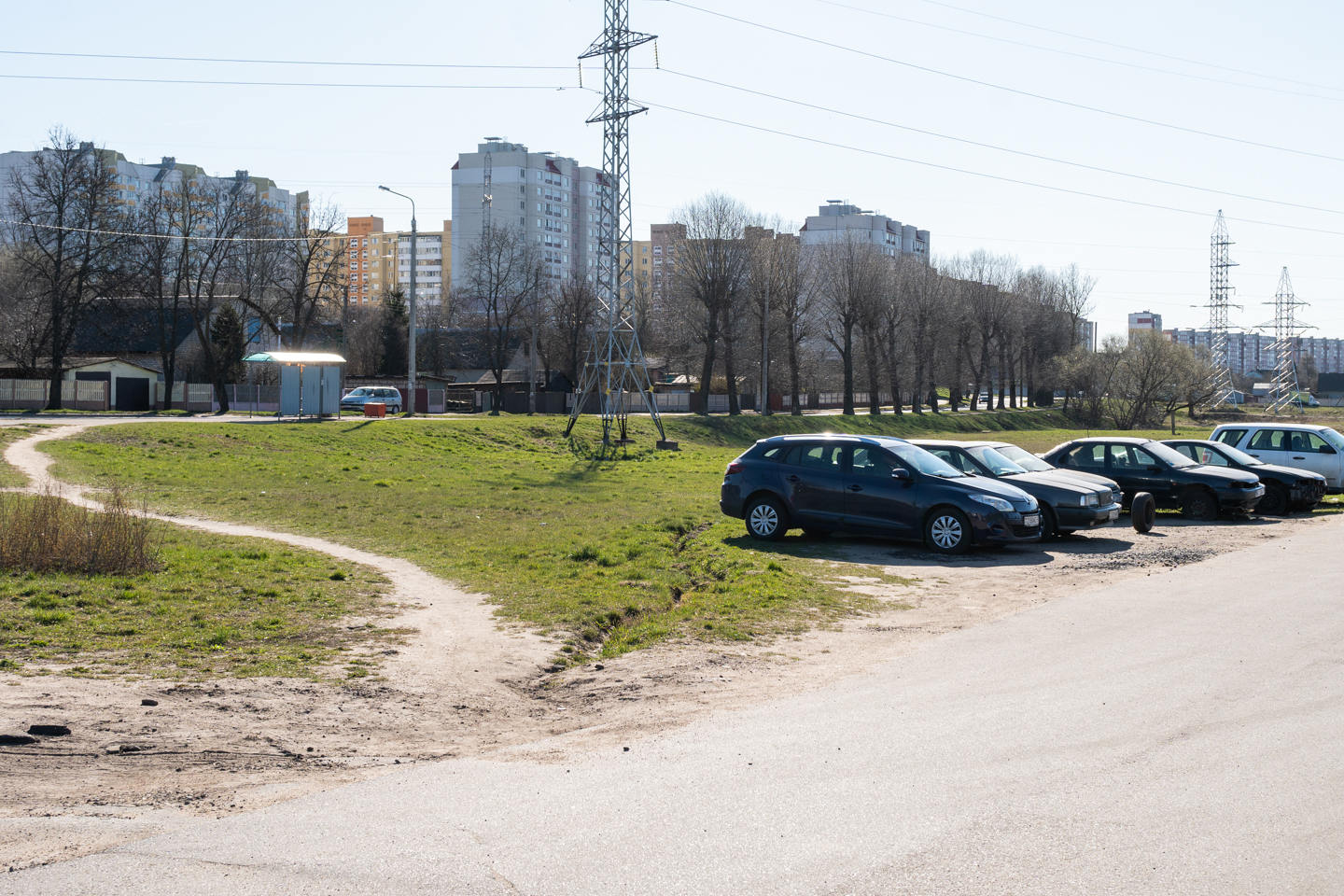 За стеной соснового леса