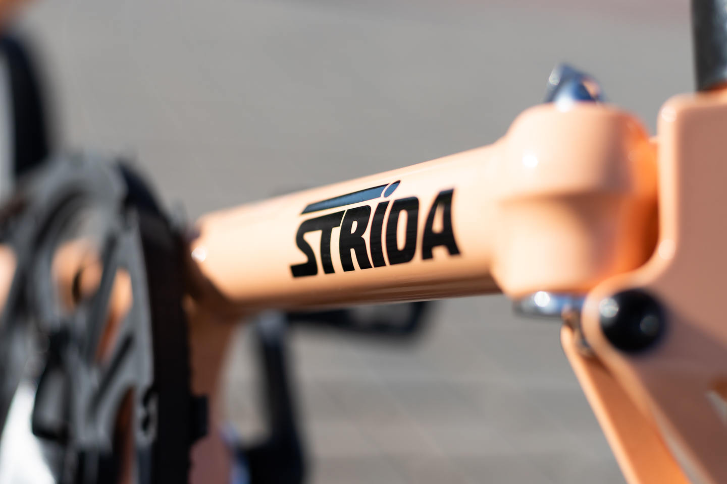 Саша, Даша и их STRiDA SX и STRiDA LT