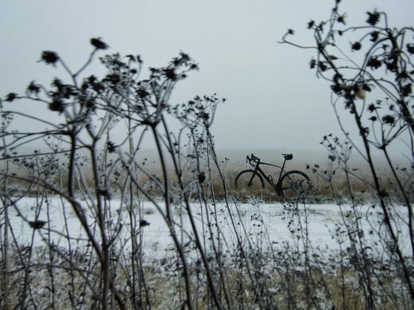 Strava: между осенью и зимой